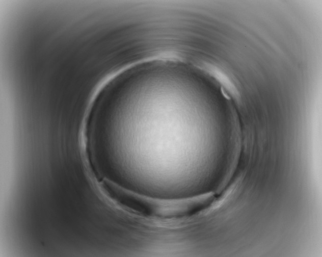 X0000096690944200802121229