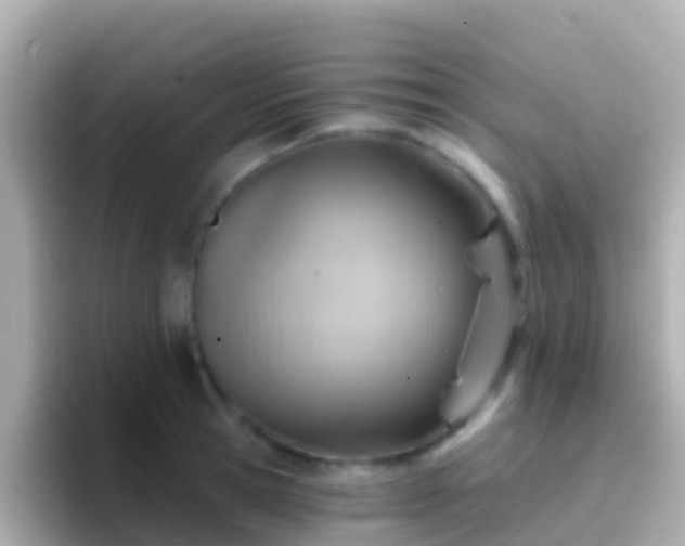 X0000096690945200802121229