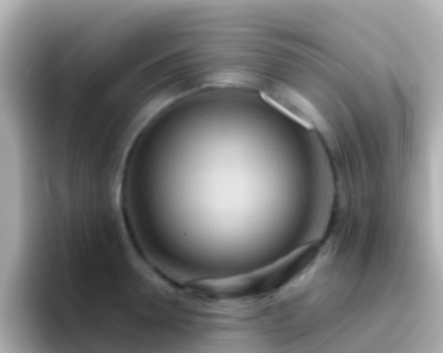 X0000096690946200802121229