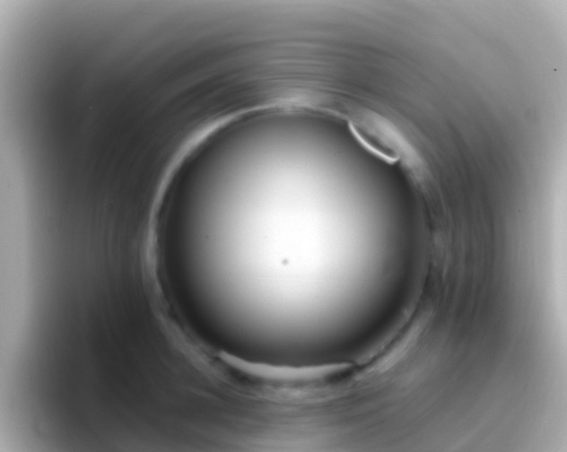 X0000096690948200802121229