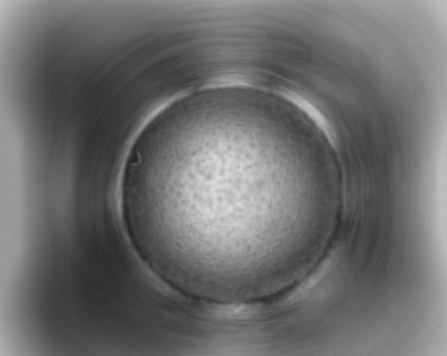 X0000096690949200802121229