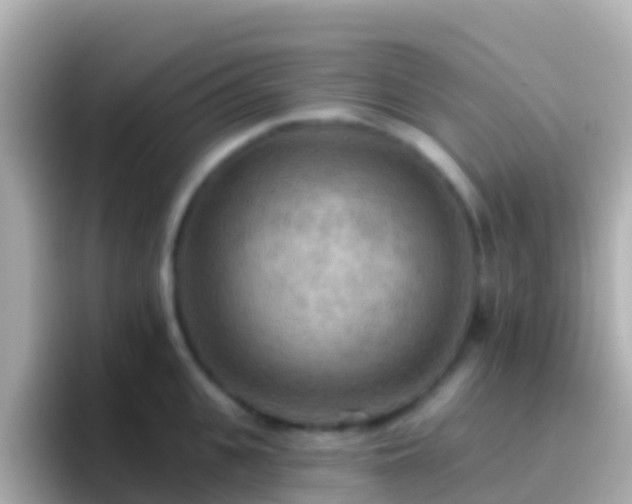 X0000096690951200802121229