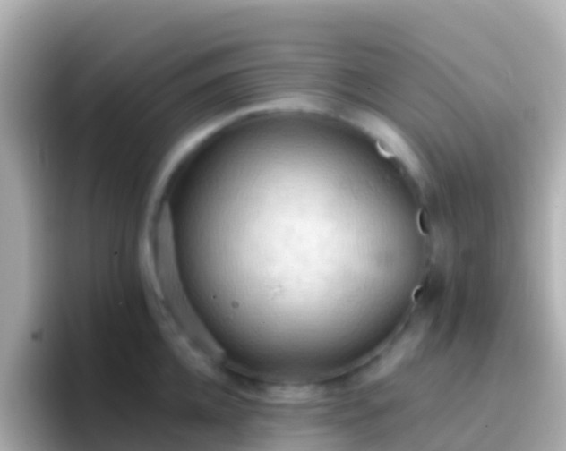 X0000096690952200802121229