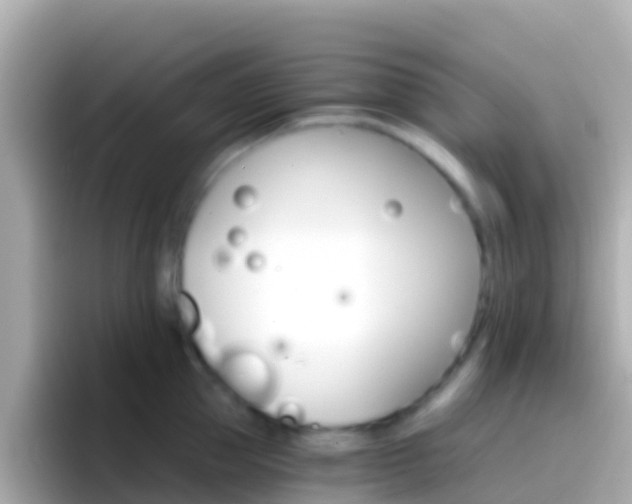 X0000096690953200802121229