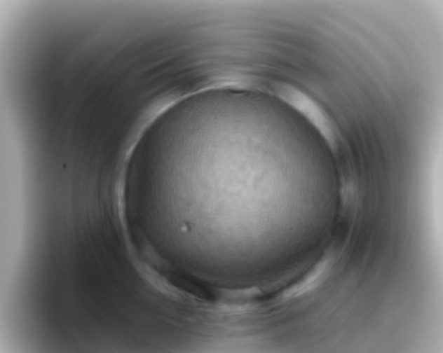 X0000096690954200802121229