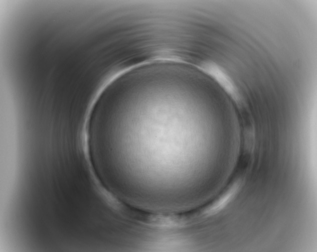 X0000096690955200802121229