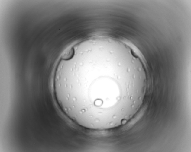 X0000096690957200802121229