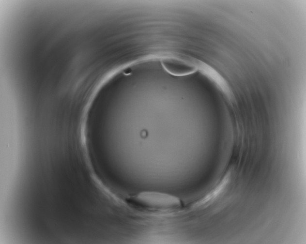 X0000096690958200802121229