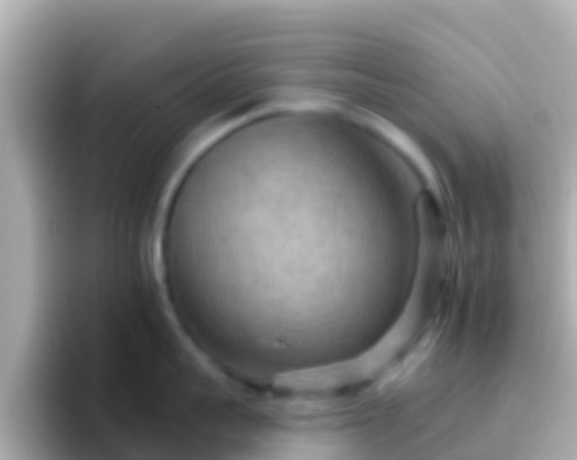 X0000096690959200802121229