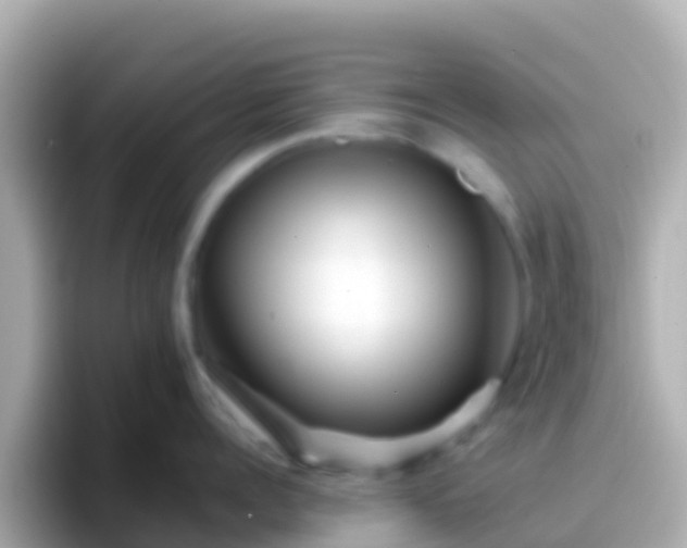 X0000096690960200802121229