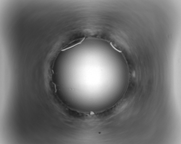 X0000096690961200802121229