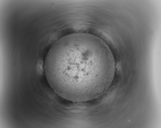 X0000096690963200802121229