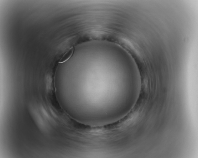 X0000096690964200802121229