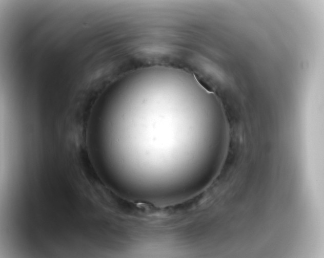 X0000096690965200802121229