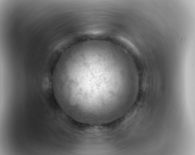 X0000096690966200802121229