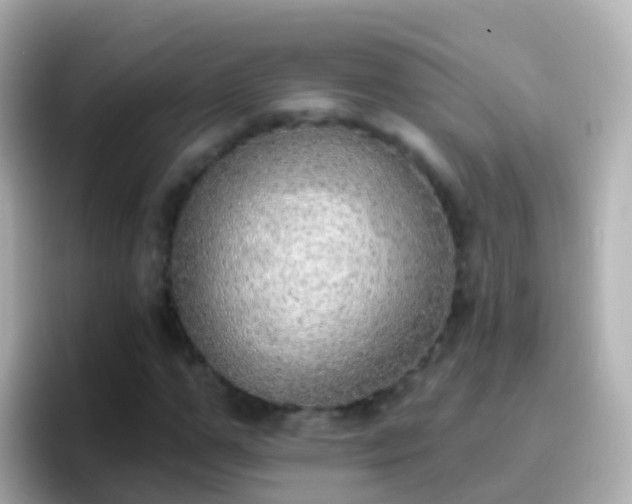 X0000096690967200802121229