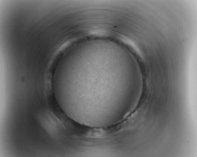 X0000096690968200802121229