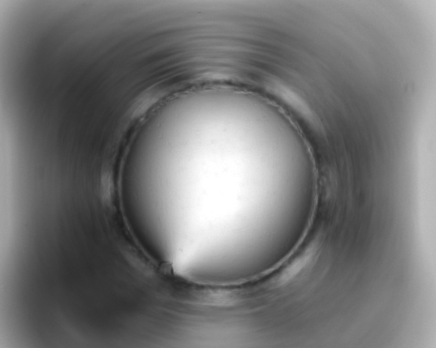 X0000096690969200802121229