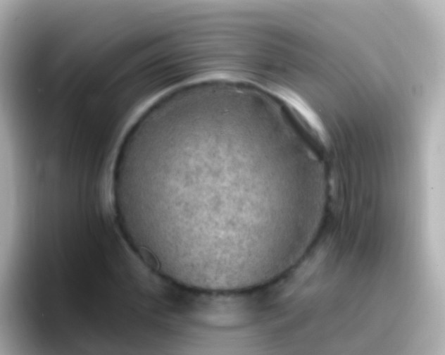 X0000096690972200802121229