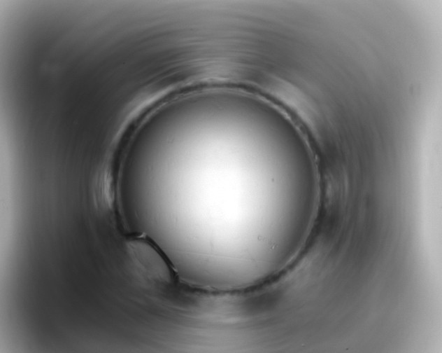 X0000096690973200802121229