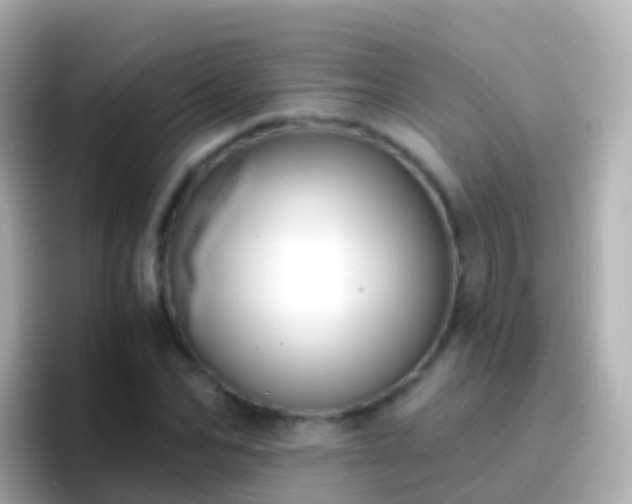 X0000096690974200802121229