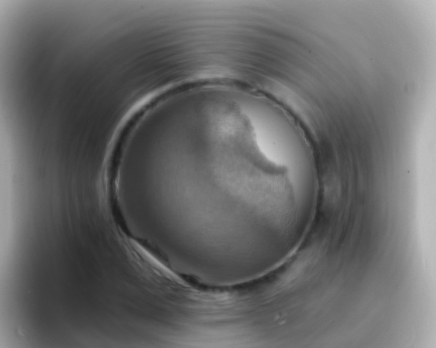 X0000096690975200802121229