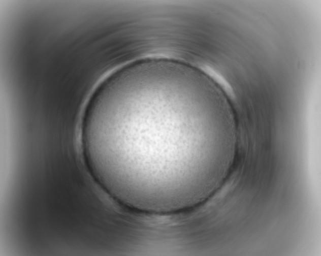 X0000096690976200802121229