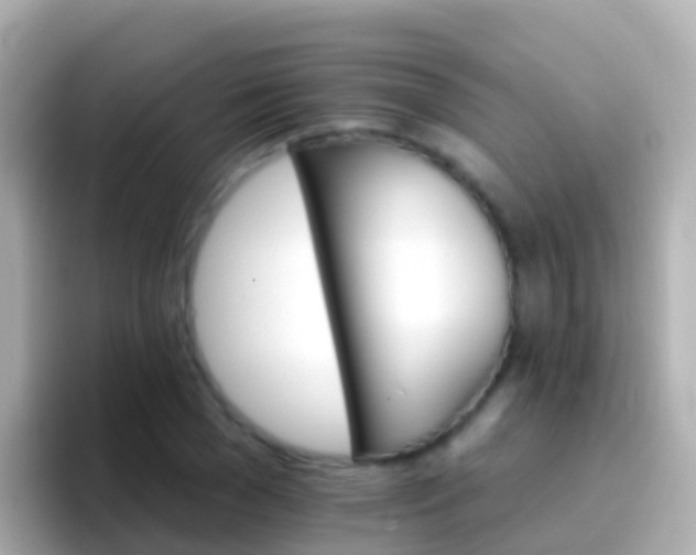 X0000096690977200802121229