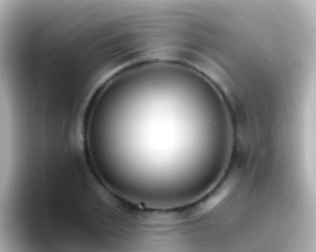 X0000096690981200802121229