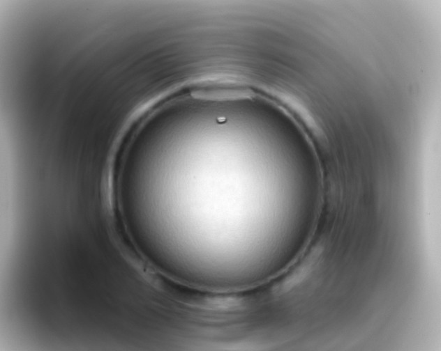 X0000096690982200802121229