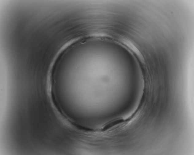 X0000096690984200802121228