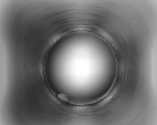 X0000096690985200802121228