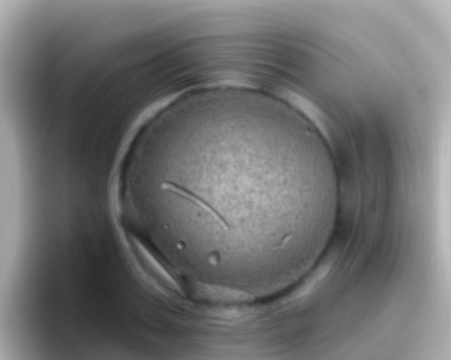 X0000096690987200802121228