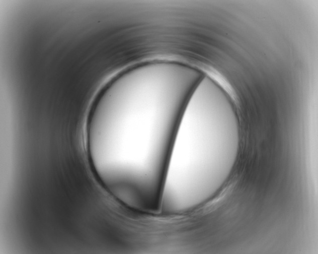 X0000096690988200802121228