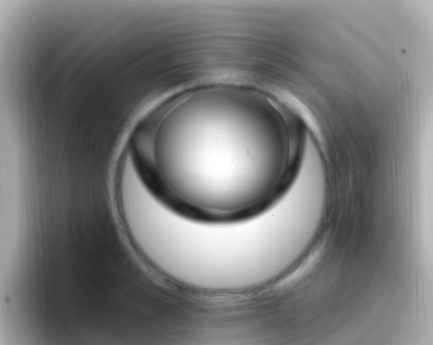 X0000096690989200802121228