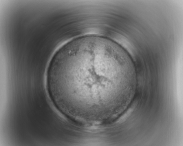 X0000096690991200802121228