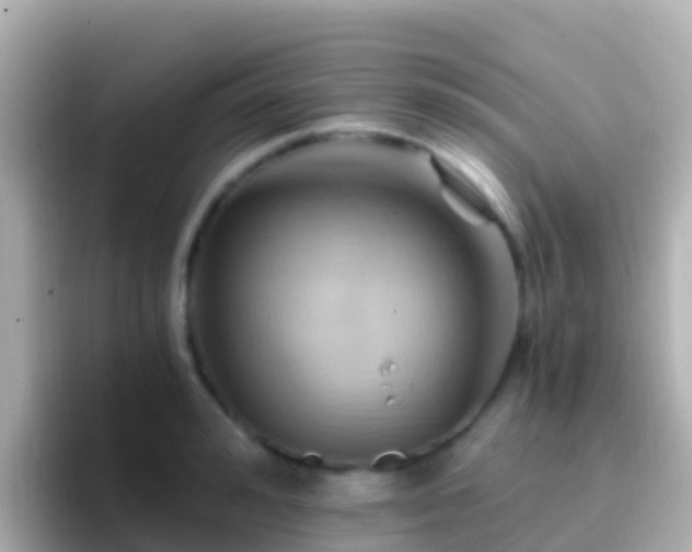 X0000096690992200802121228