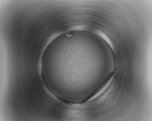 X0000096690994200802121228