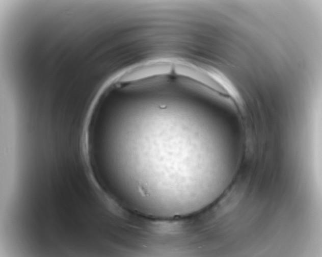 X0000096690996200802121228