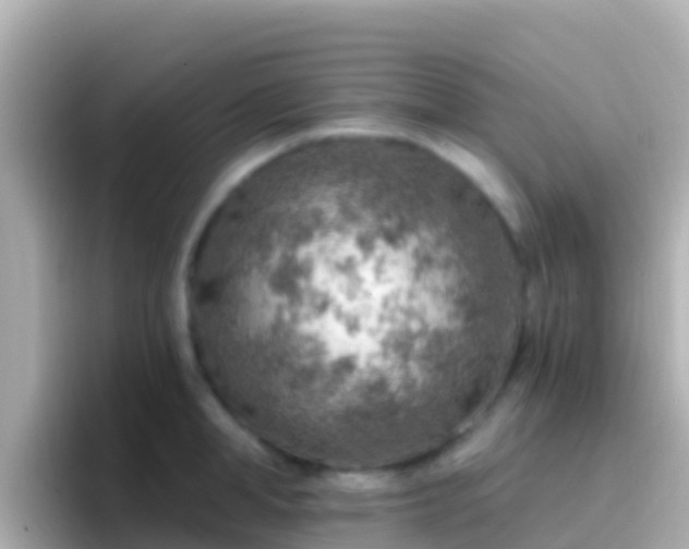 X0000096690998200802121228