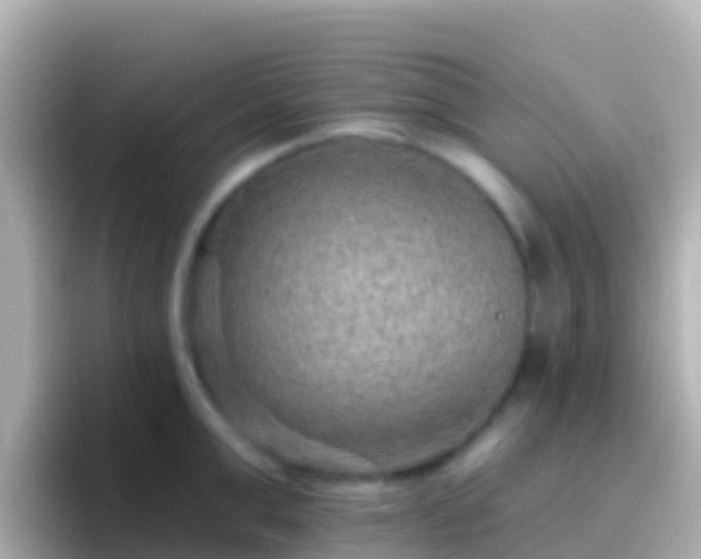 X0000096690999200802121228