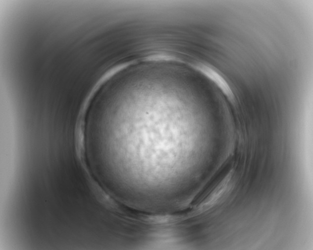 X0000096691000200802121228