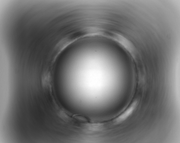 X0000096691001200802121228