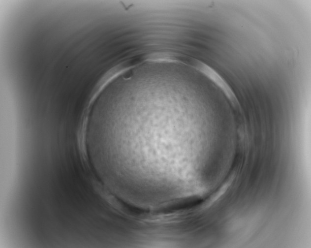 X0000096691002200802121228