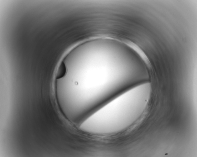 X0000096691004200802121228