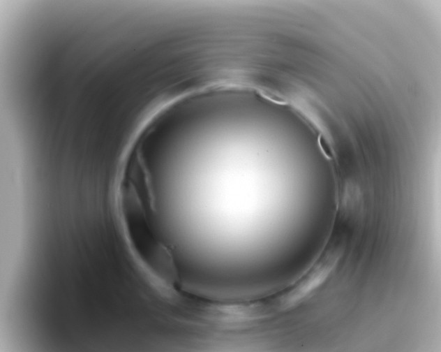 X0000096691005200802121228