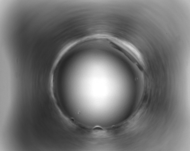 X0000096691006200802121228