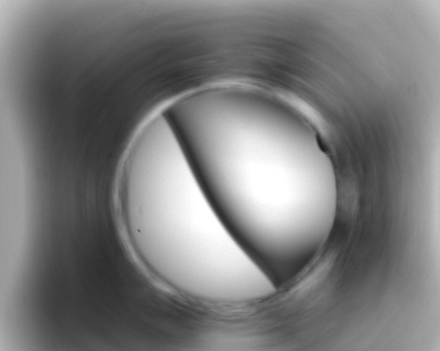 X0000096691007200802121228