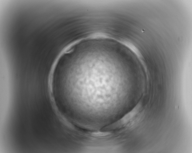 X0000096691008200802121228