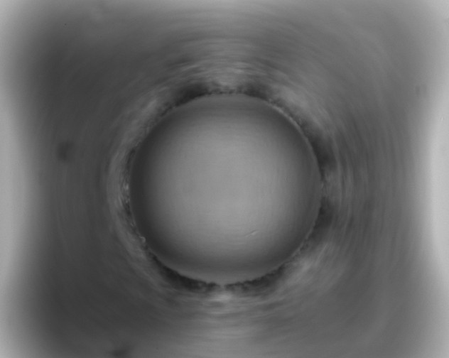 X0000096691009200802121228